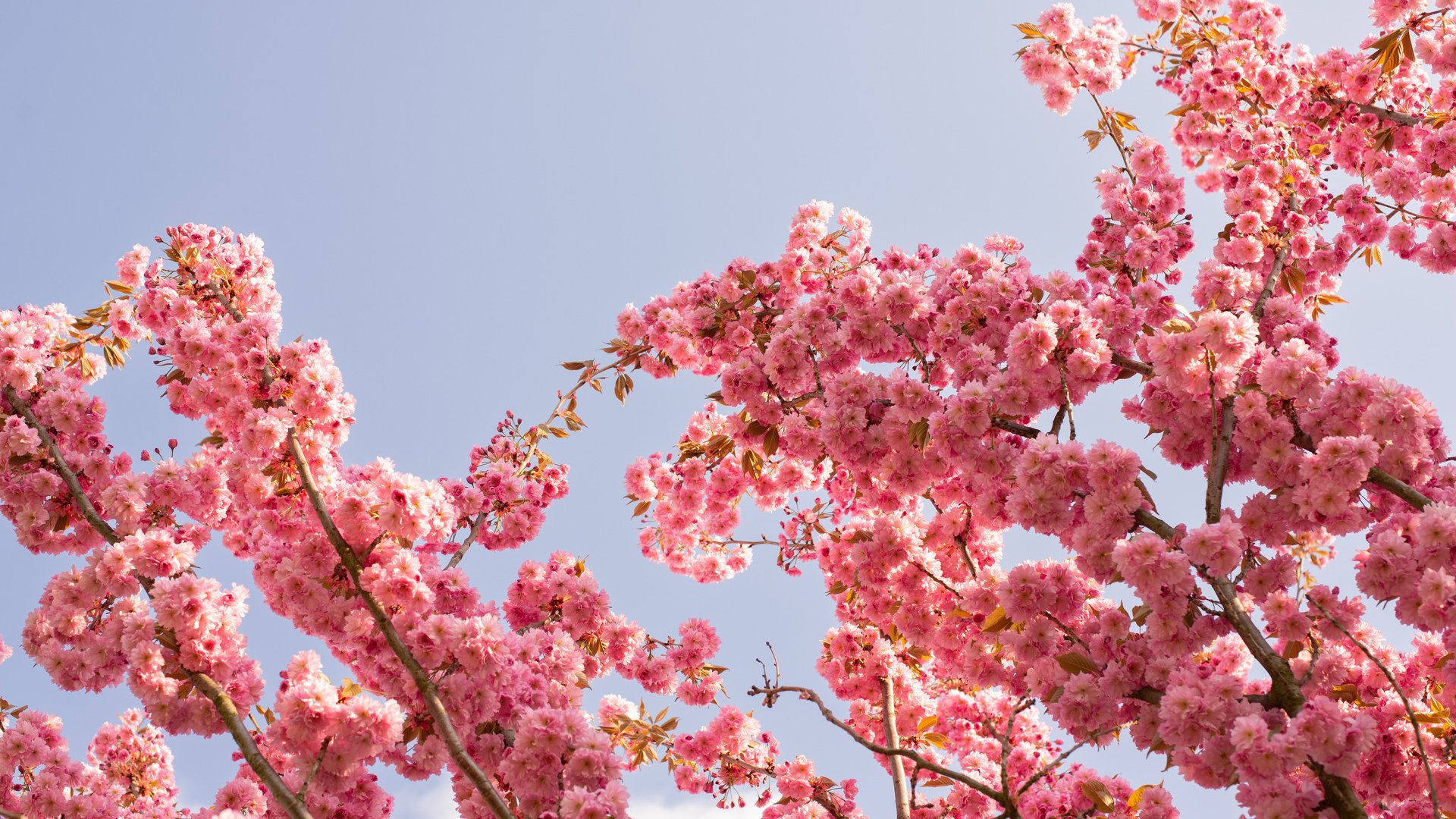 Michelangelo International Travel | Leading DMC for Italy & the Mediterranean Michelangelo International Travel | Leading DMC for Italy & the Mediterranean