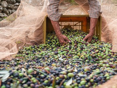 Andalusia - Authentic tastes of Southern Spain