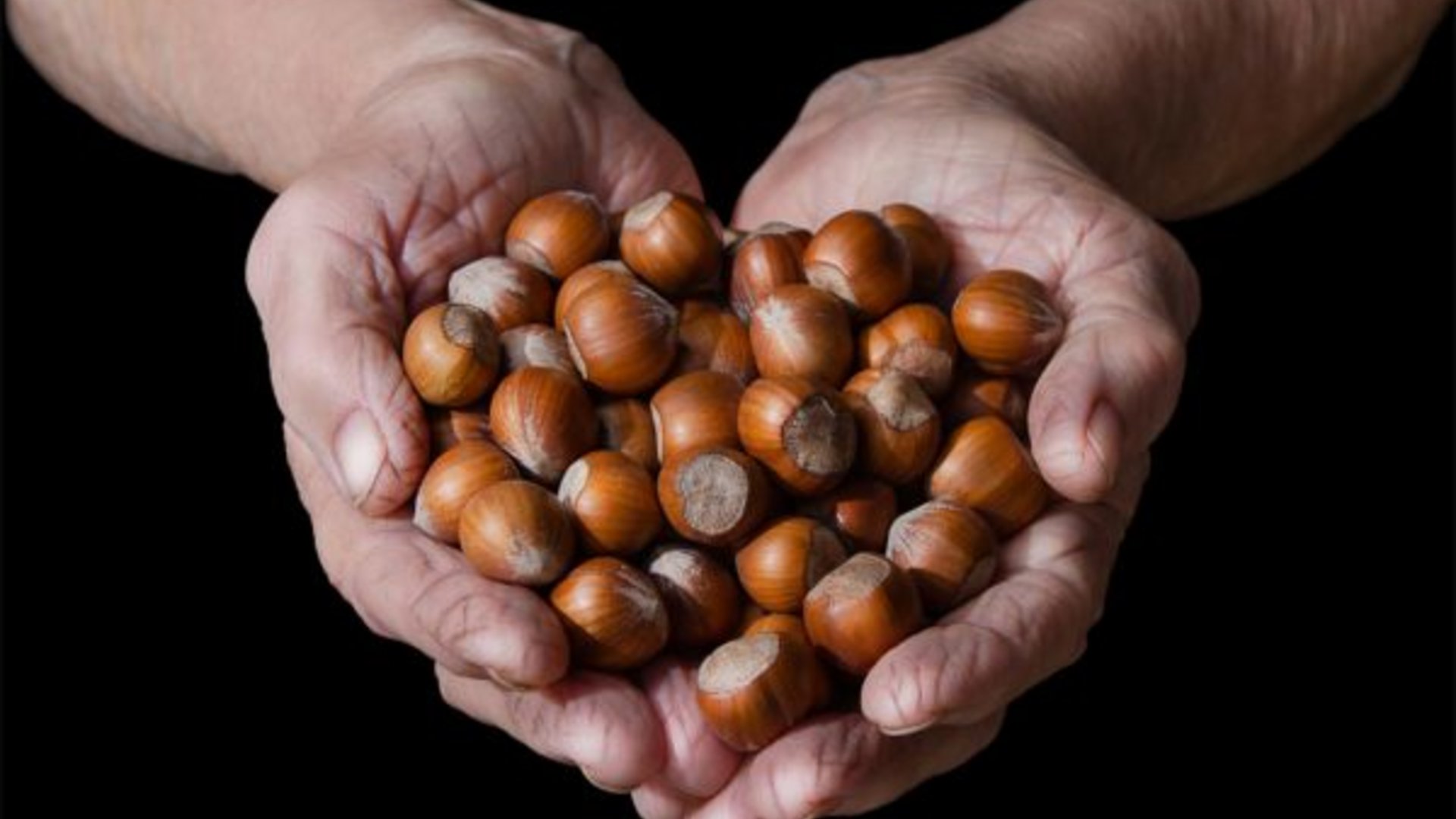 Piedmont Tours for Operators: Nature, Culture & Cuisine Piedmont Tours for Operators: Nature, Culture & Cuisine