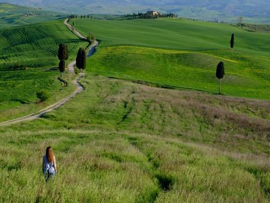 Escorted tours of Tuscany