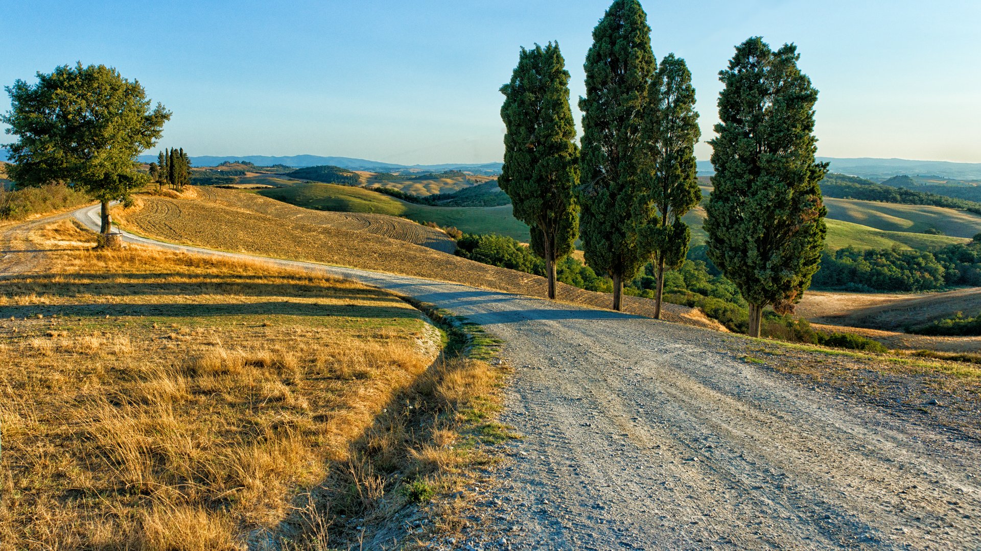 Tuscany Hiking, Wine Tasting & Truffle Hunt Tour: Lucca, Chianti & Florence