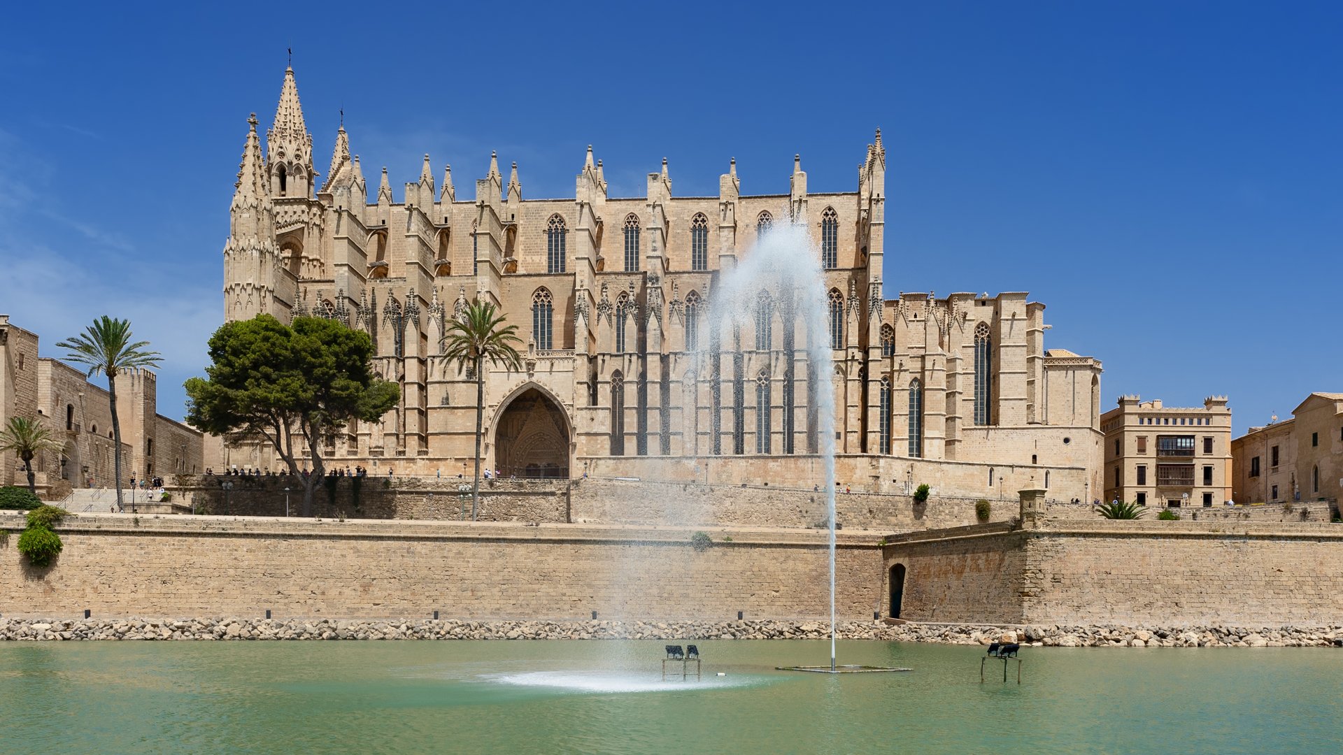 Spagna - Maiorca, mandorli in fiore