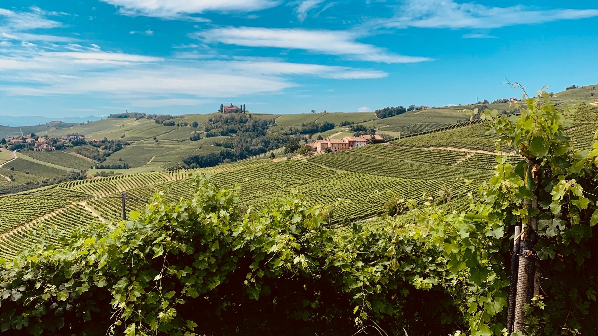 Piemonte e Valle d'Aosta - Terre del Monferrato