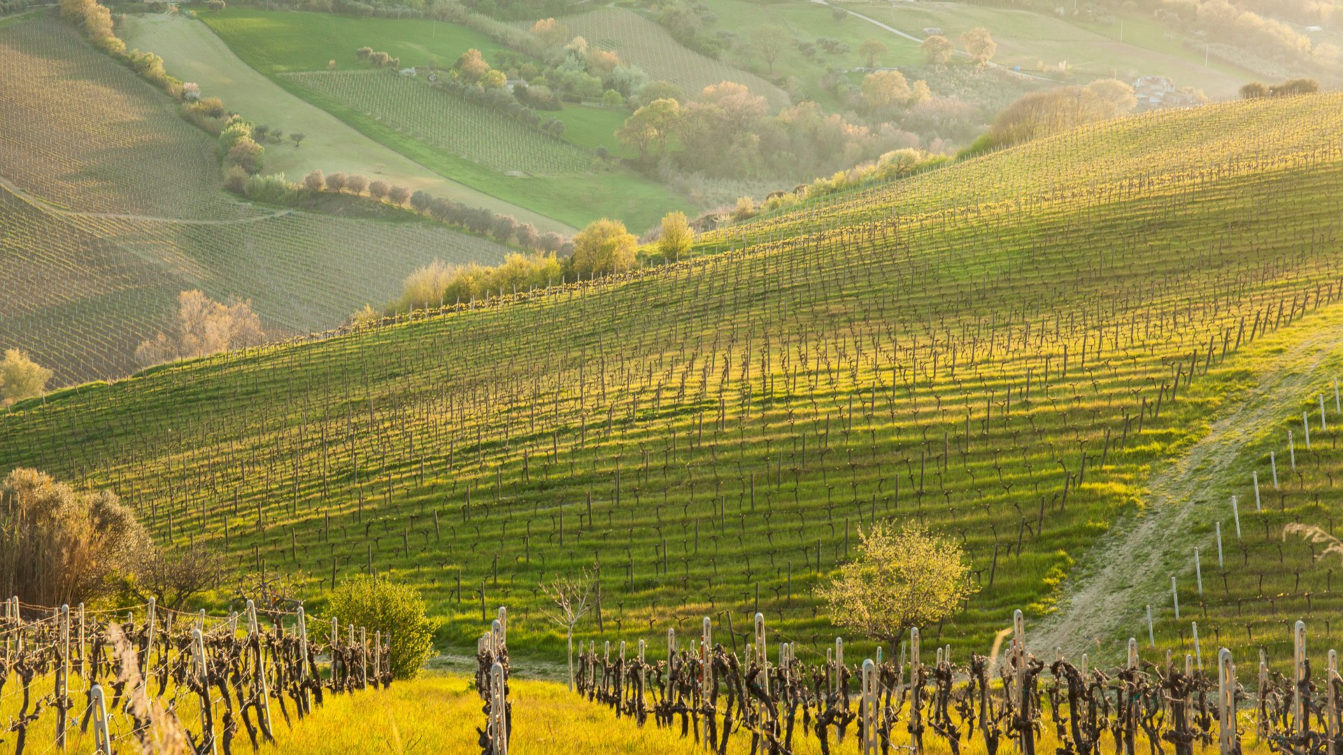 Toscana - Sulle orme della via Francigena