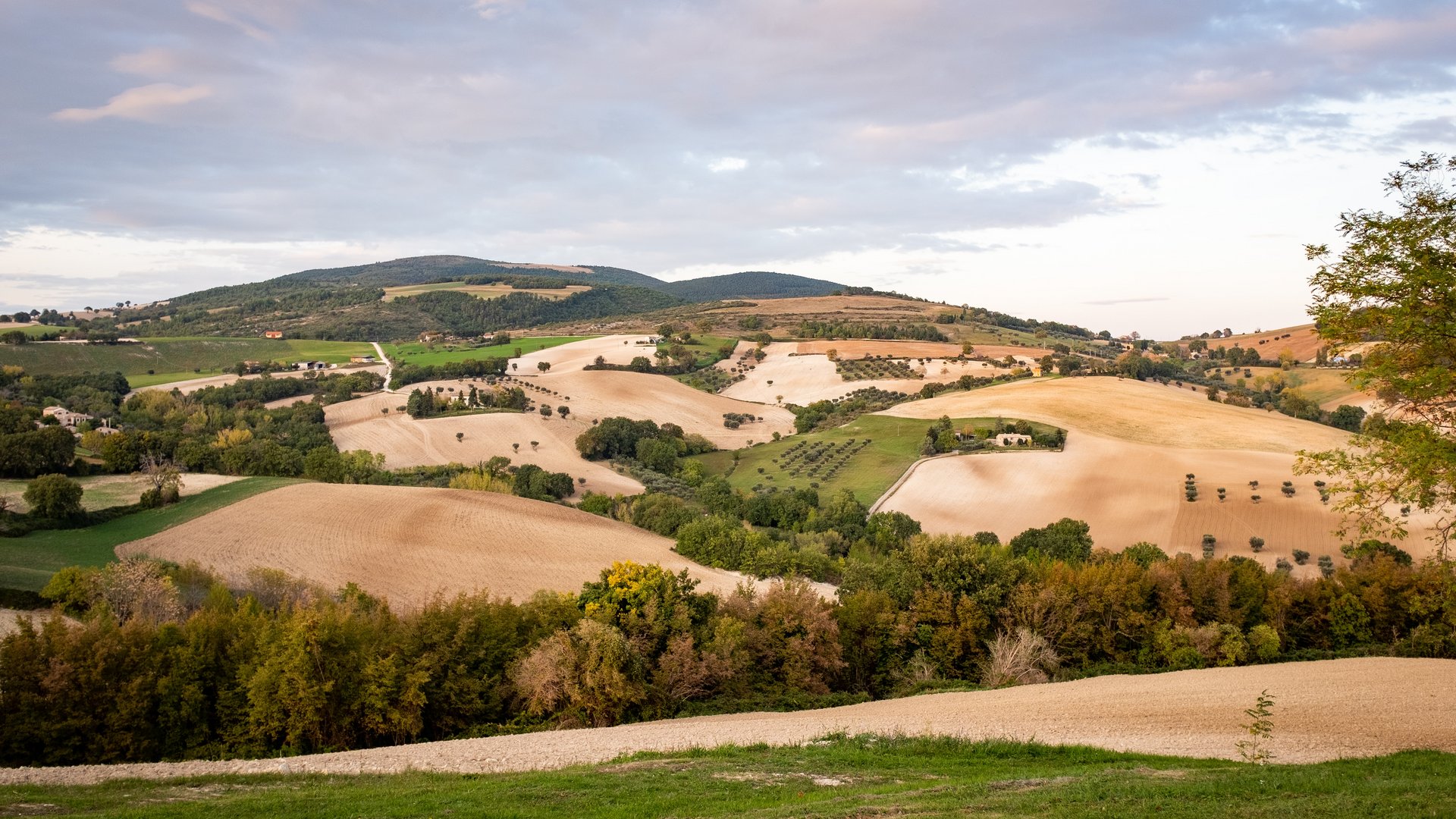 Marche, Abruzzo e Molise - Le vie del Made in Italy nel cuore delle Marche