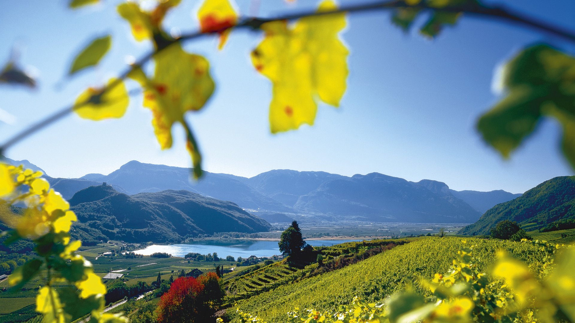 Cycling Delights in the Dolomites: Lakes, Castles & Wine Along the Via Claudia Augusta