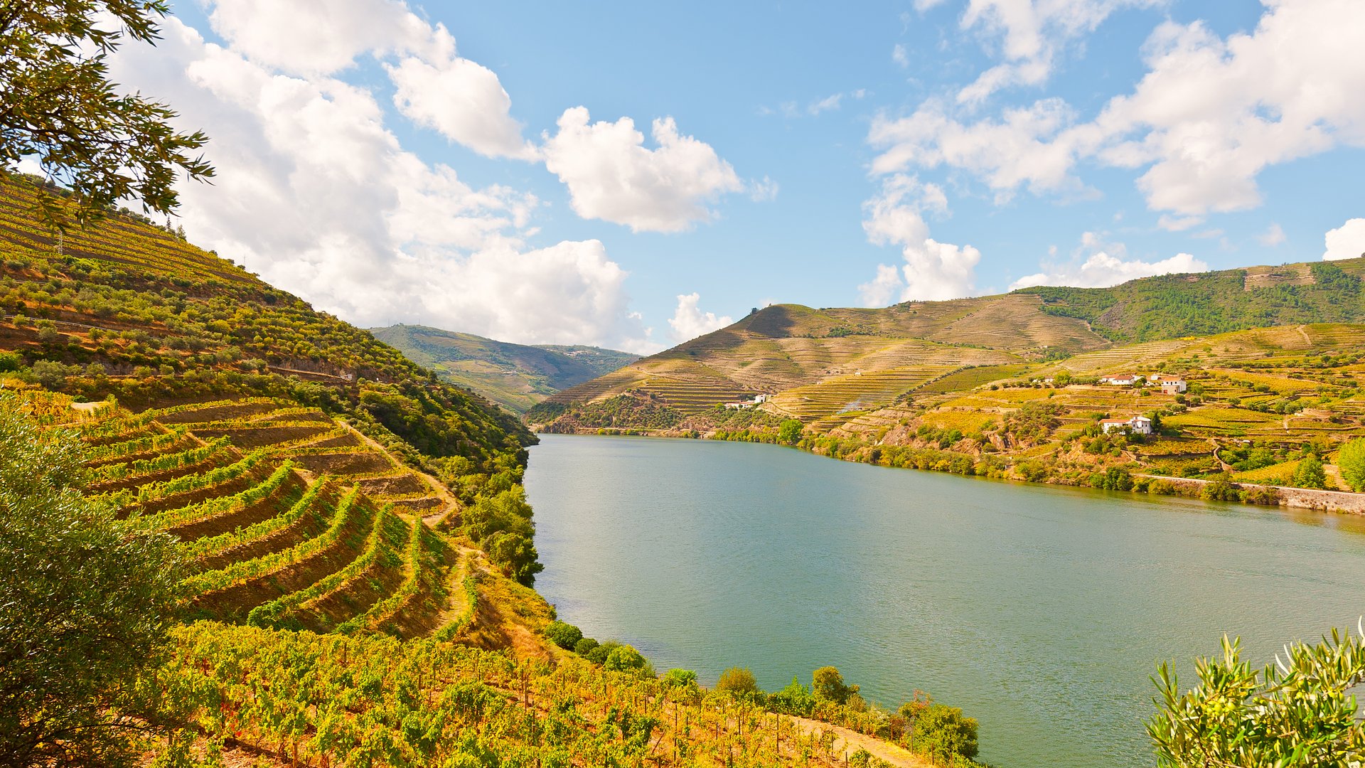 Portugal - Mandelblüte im Douro-Tal