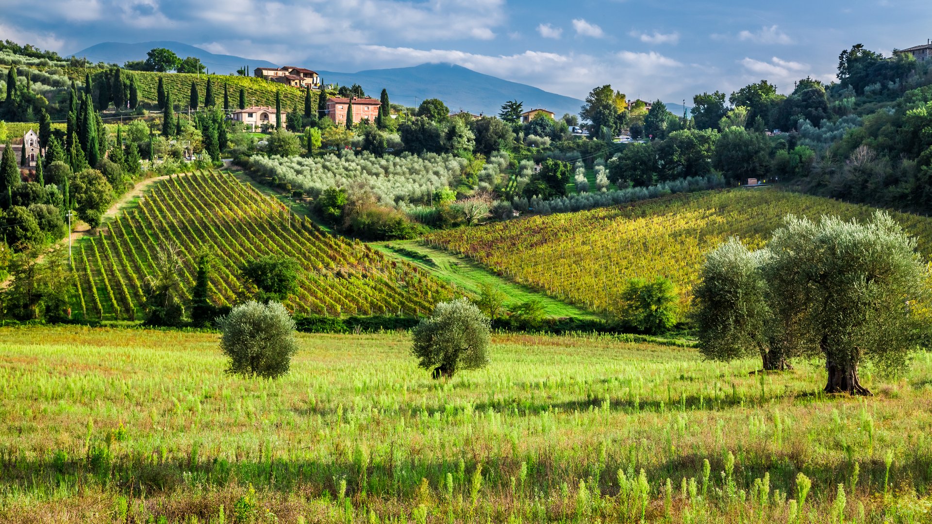 Toscana - Sulle orme della via Francigena