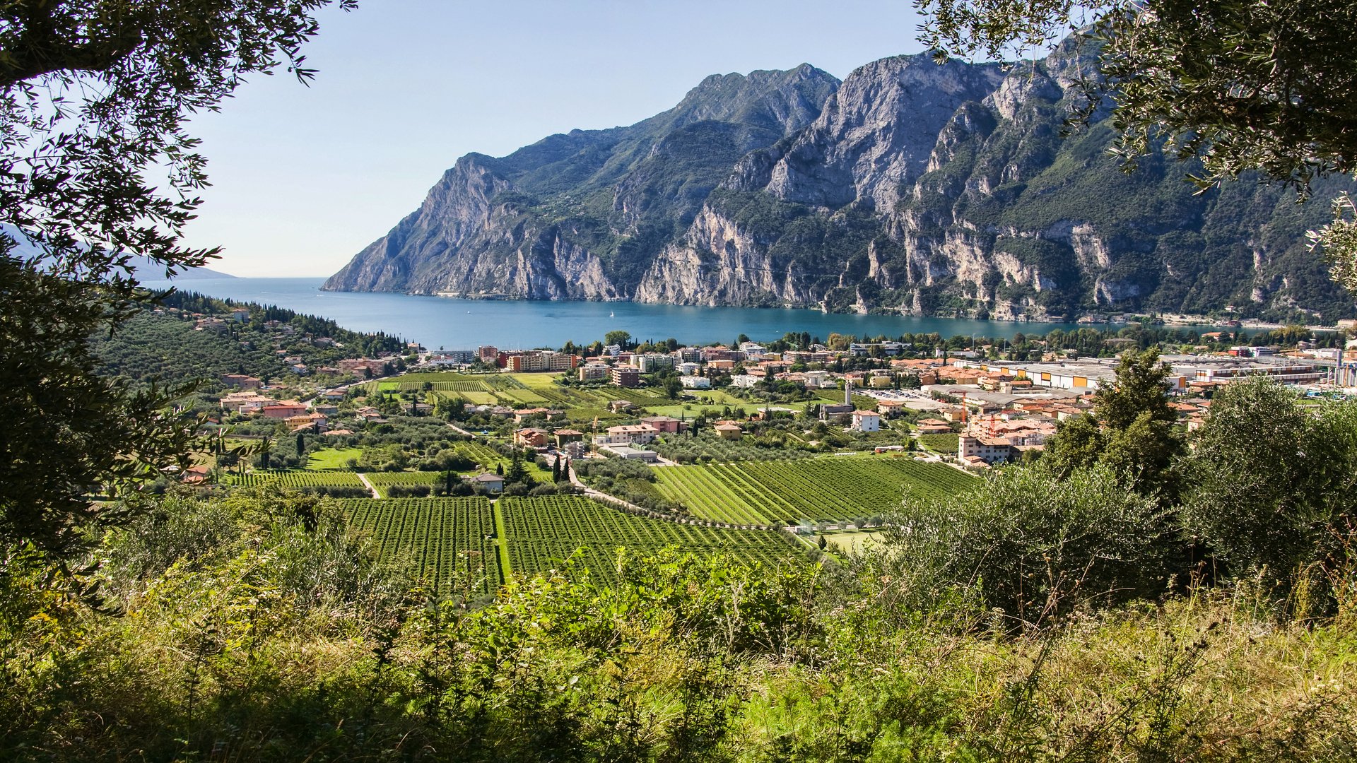 Food & Wine Tours in Northern Italy & Lake Garda