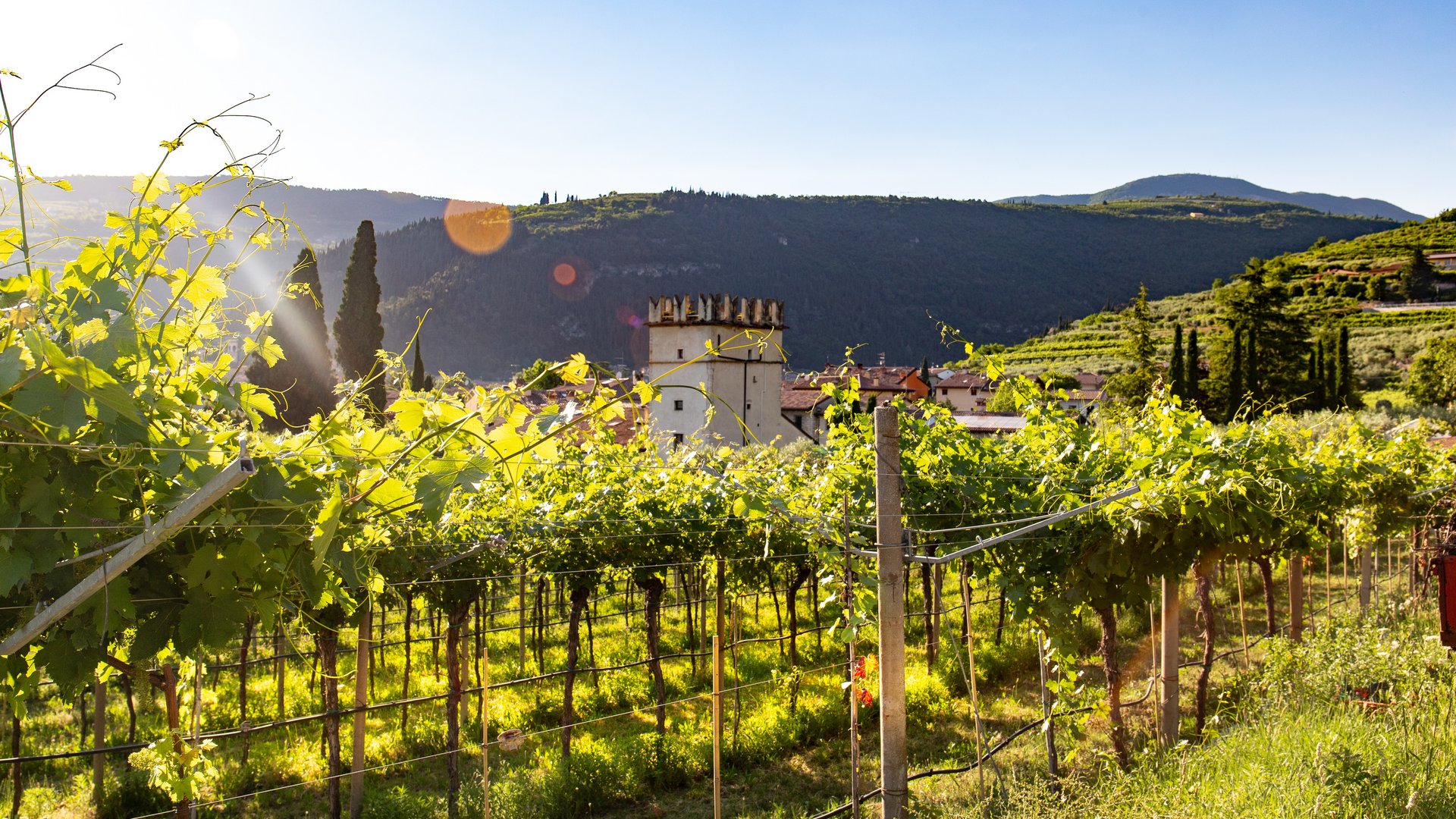 Wanderreise - Auf Zeitreise in die Weinwelt des Gardasees