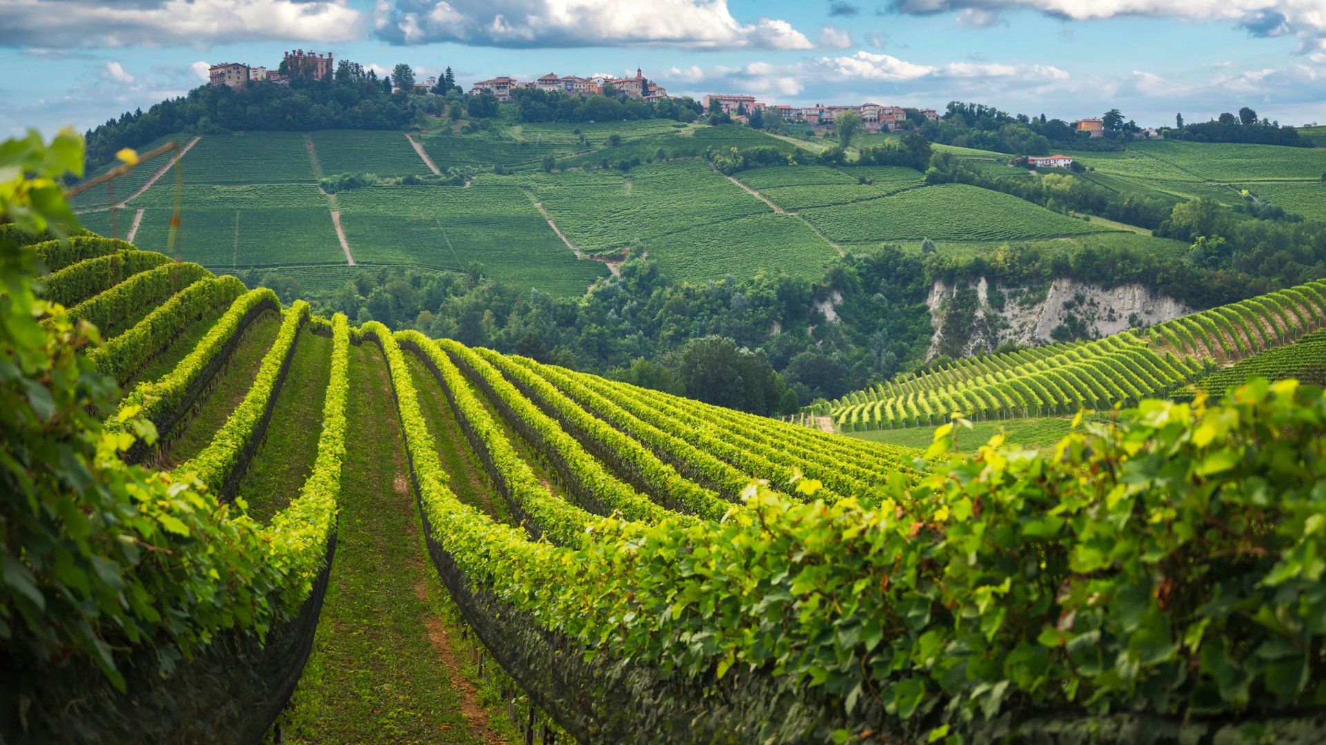 Piedmont Tour: Borghi, Barolo & Barbaresco Wine Adventure