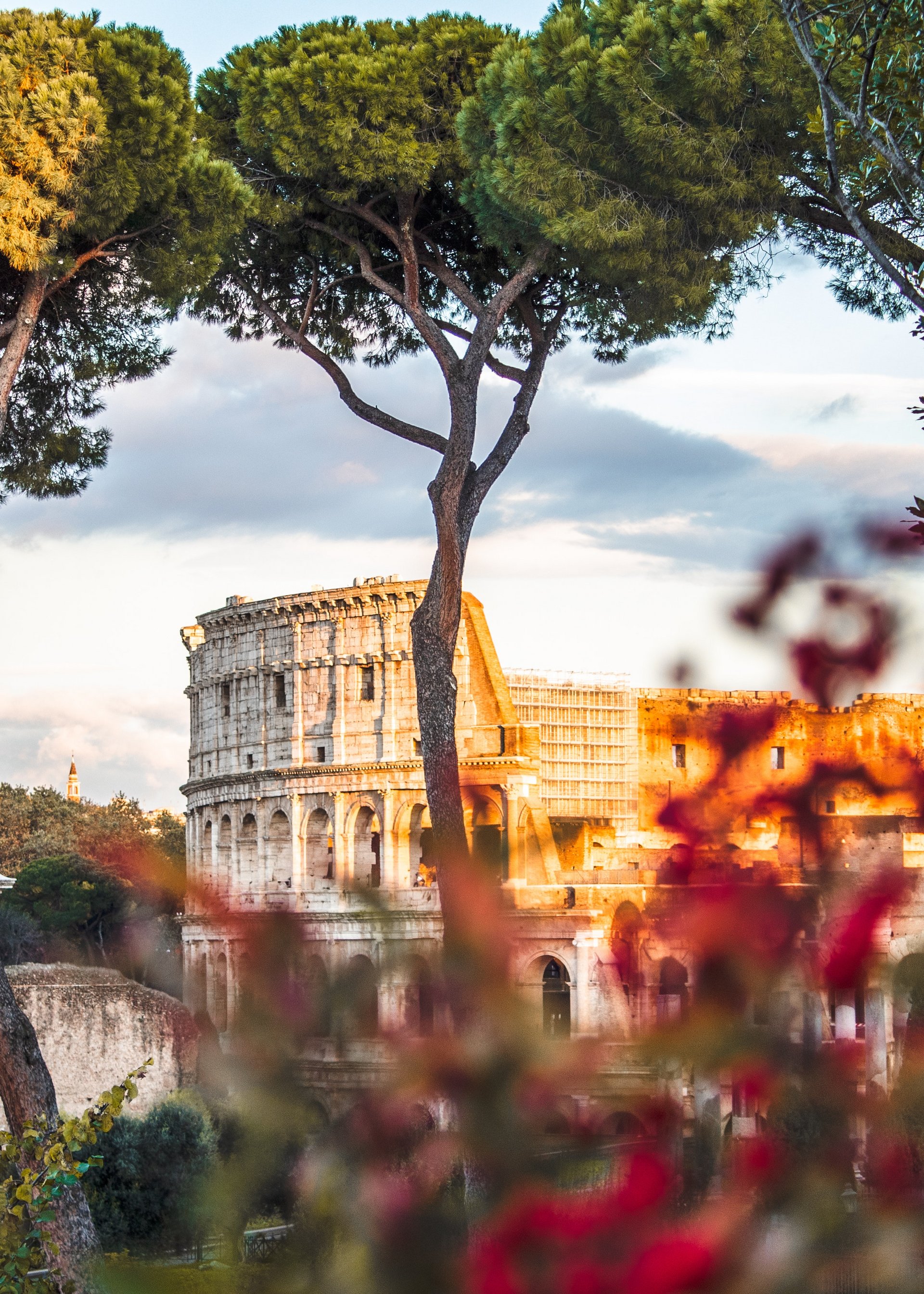 Escorted tours to Rome