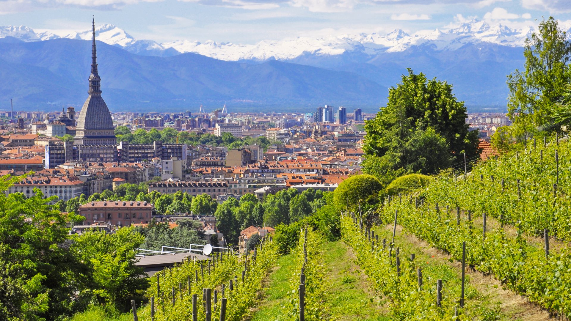 Piedmont: Slow Food, Wine & Truffles – A  B2B Culinary Group Tour