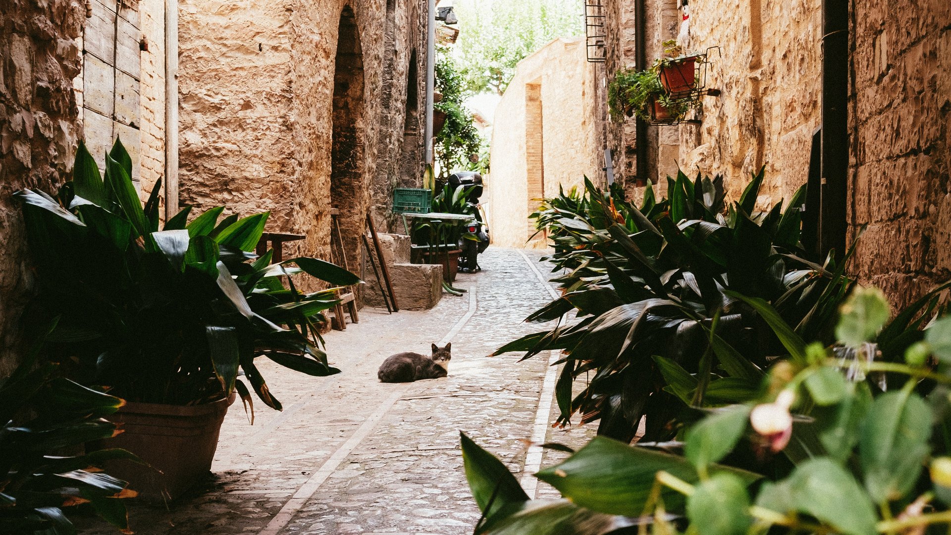 Umbria - Eccellenze d'Umbria tra borghi e sapori