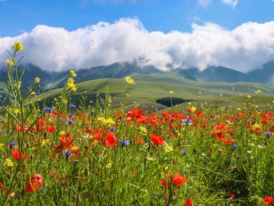 Campania - Amalfi, Capri & Vesuvio: trekking indimenticabile