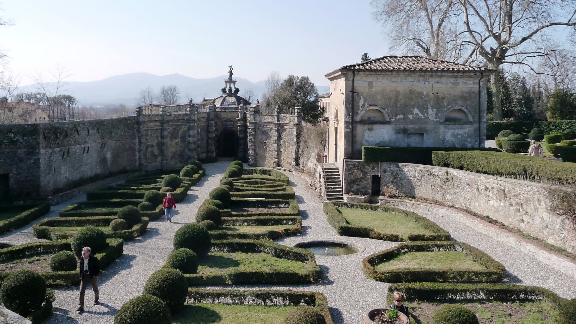 Toscana - Lucca e le camelie della Lucchesia