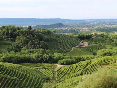 Eröffnung & Abschluss | Venetien - 4* Bonotto Hotel Palladio