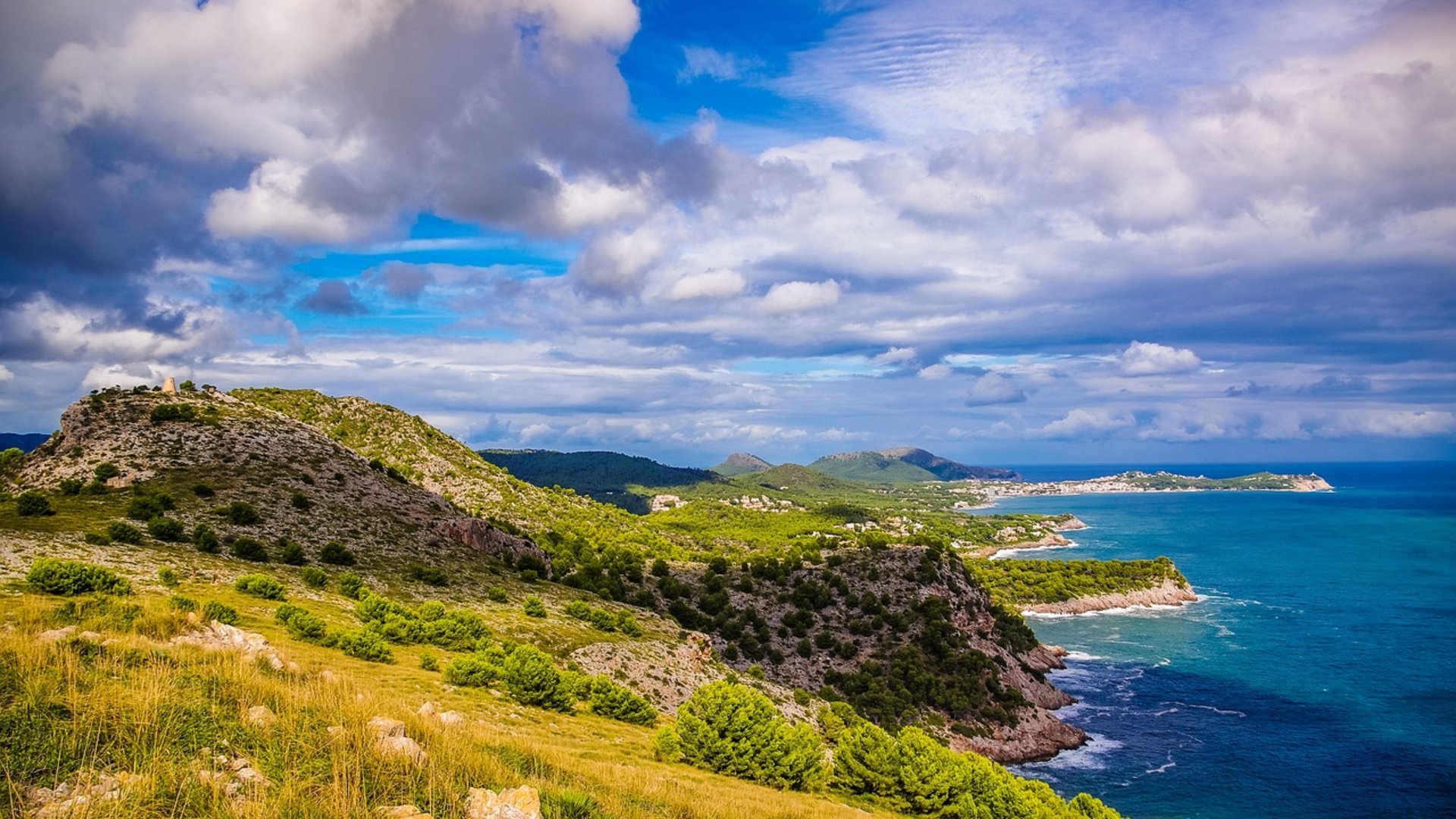 Spagna - Maiorca, mandorli in fiore