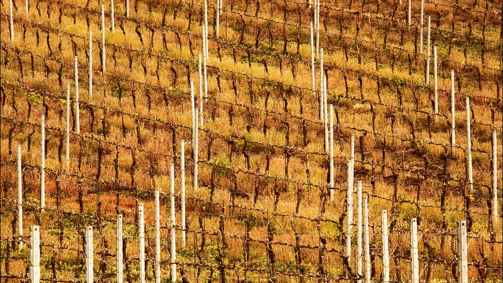 Basilicata - Borghi e sapori del Vulture e dintorni