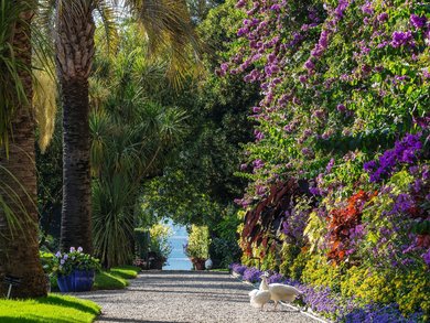 Piemont - Aoastatal Piemont - Aoastatal