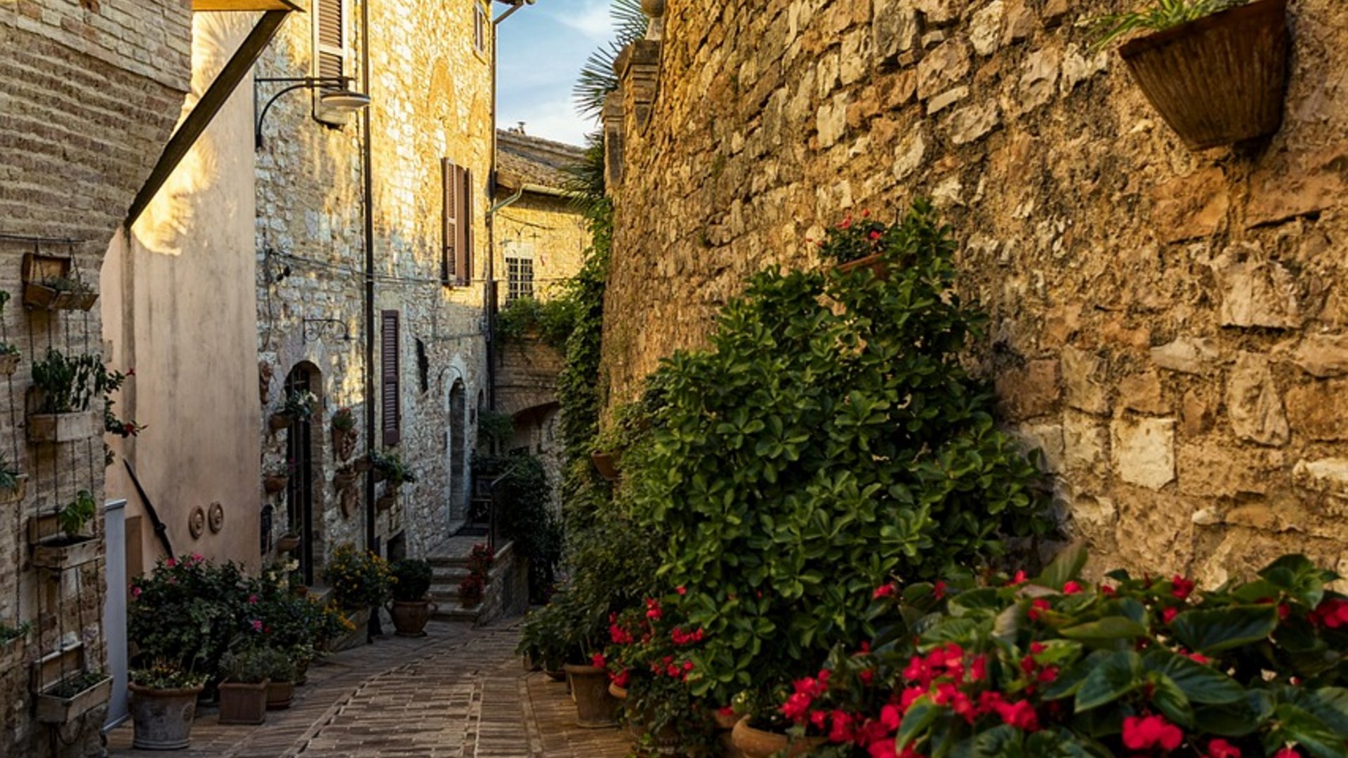 Umbria - Umbria in fiore