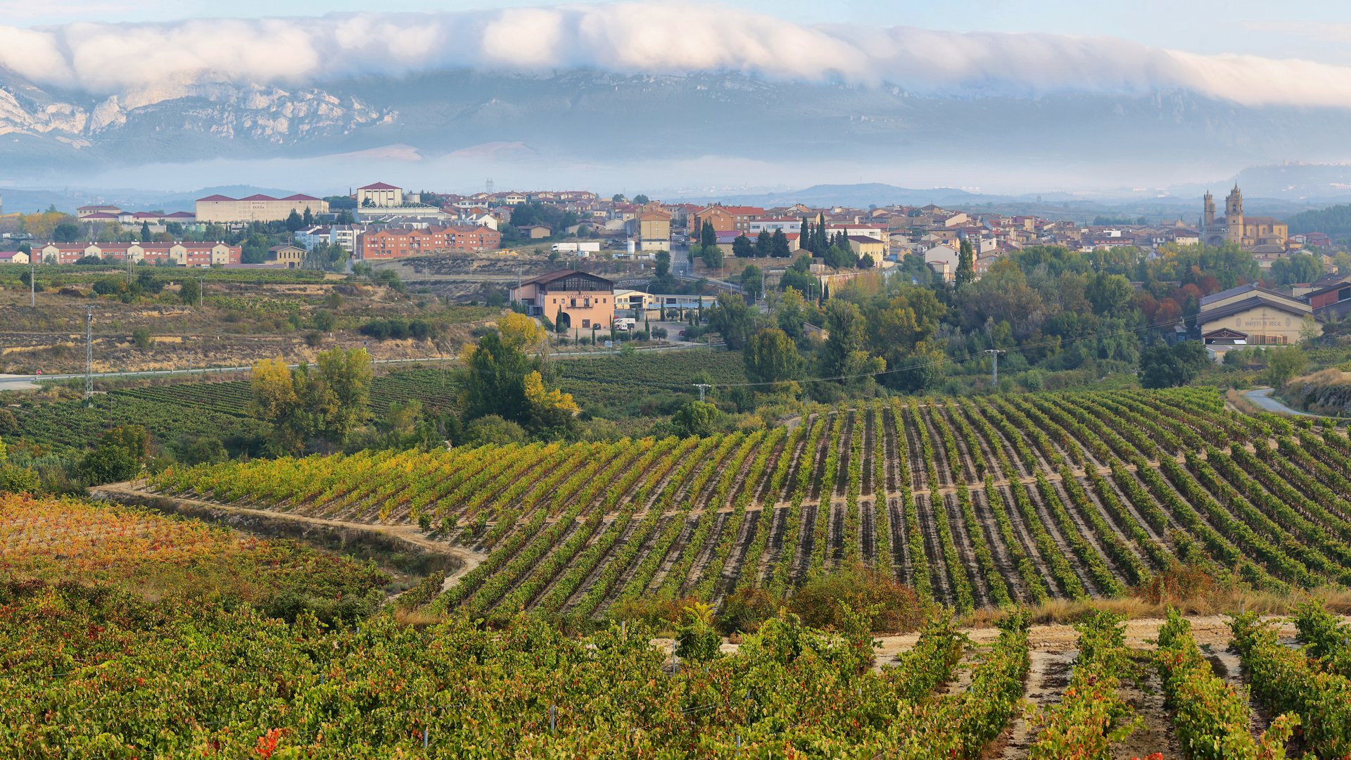 La Rioja - Zeit der Weinlese in La Rioja