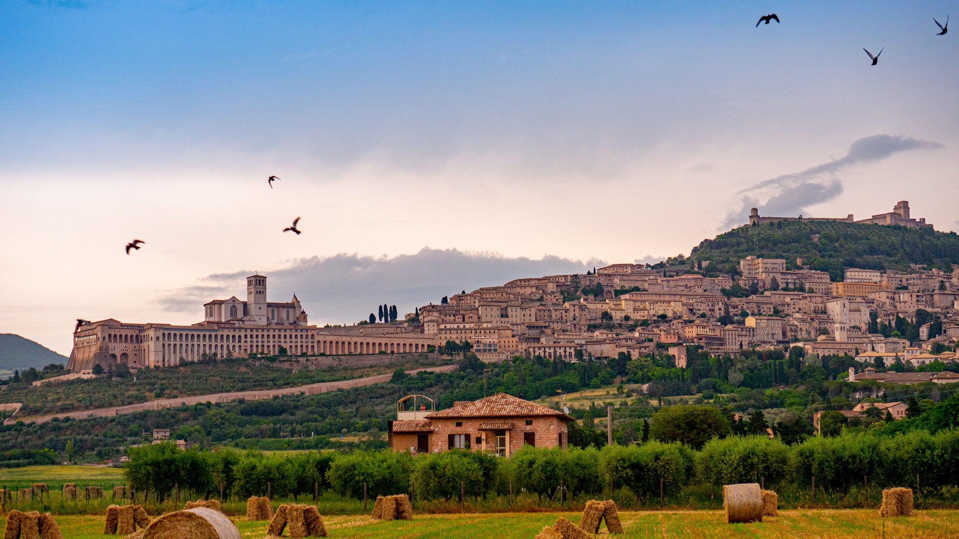 Italy Group Tour - Experience the Breathtaking Lentil Bloom in Umbria