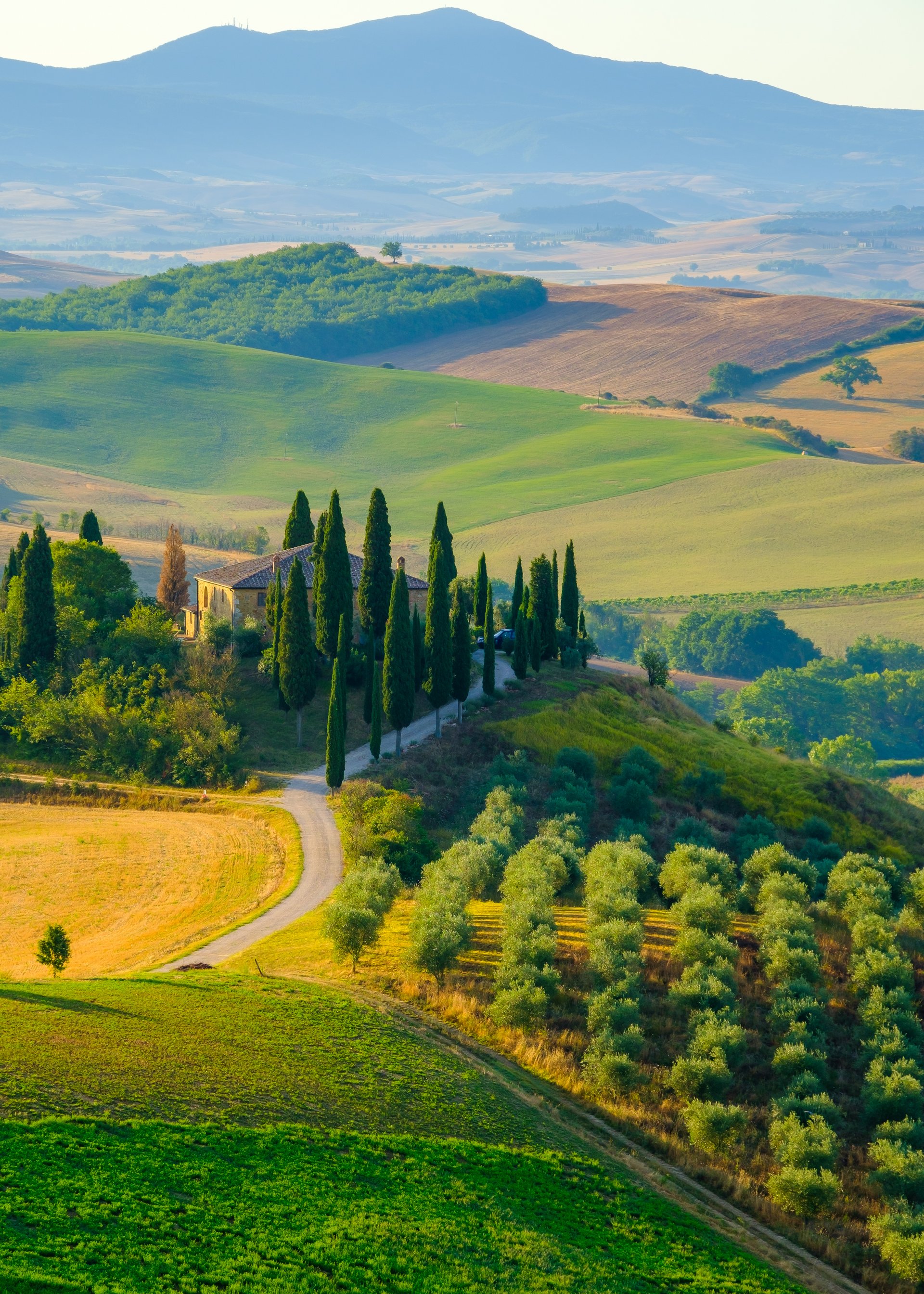 Viaggi di gruppo organizzati: un’esperienza unica!