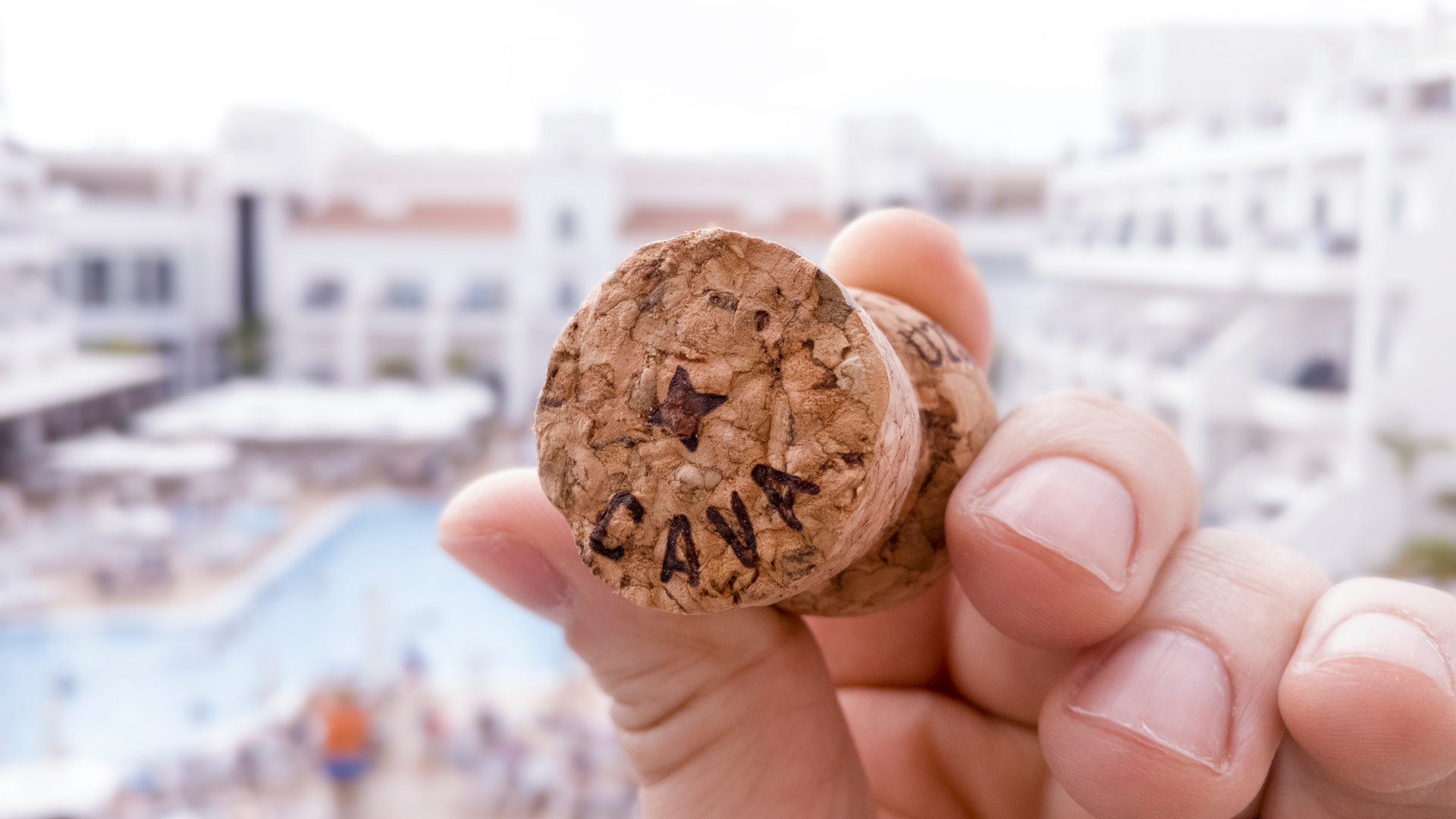 Best Wines of Spain: Culinary Group Tour with Tasting Experiences