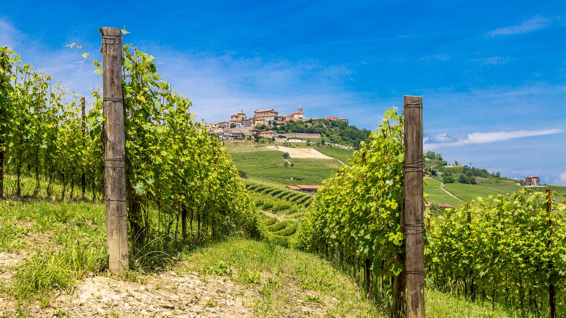 Piedmont Tours for Operators: Nature, Culture & Cuisine