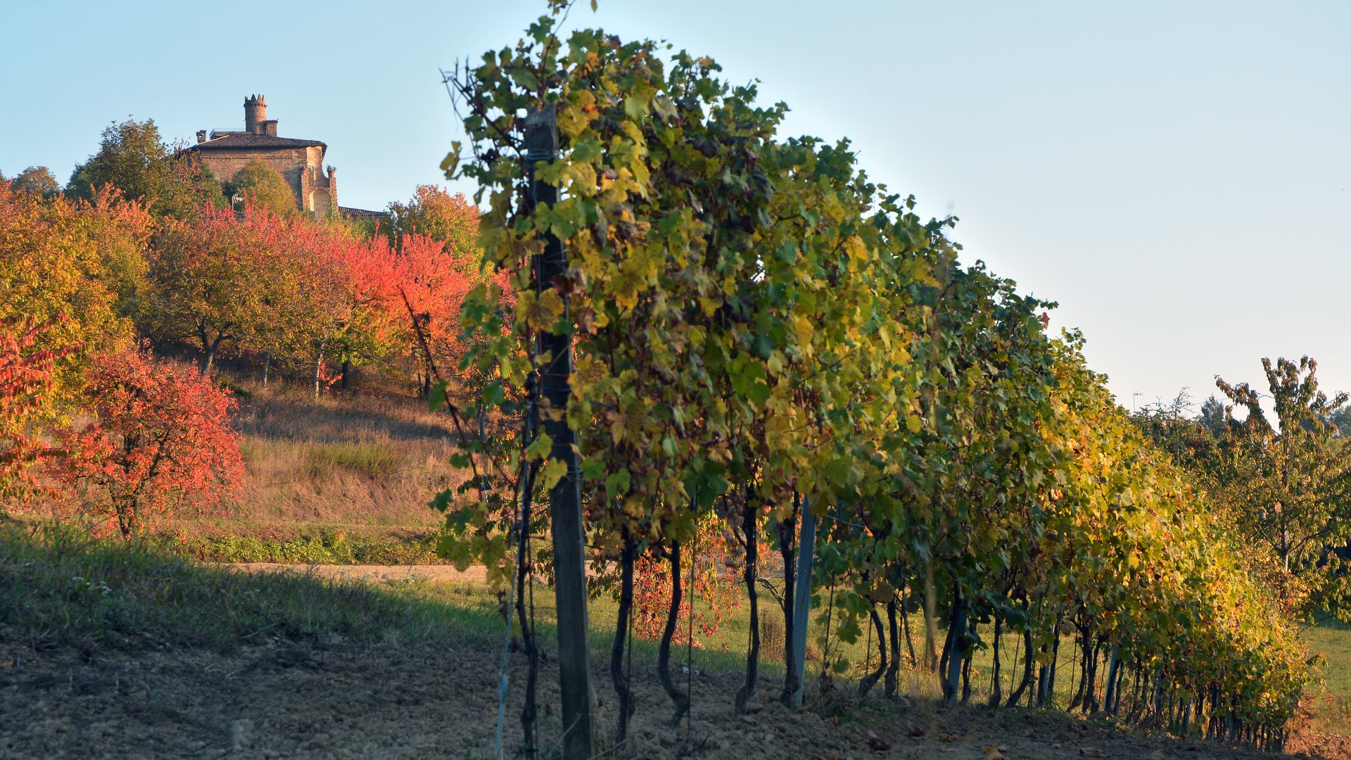 Piemonte e Valle d'Aosta - Terre del Monferrato