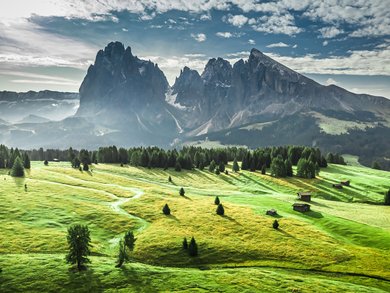 Top Angebote Top Angebote