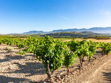 Top Angebote Top Angebote