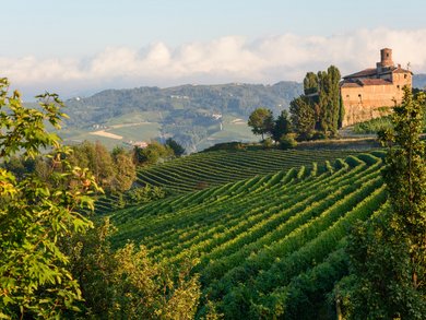 Piedmont & Lake District – A Wine Lover’s Journey Through Northern Italy