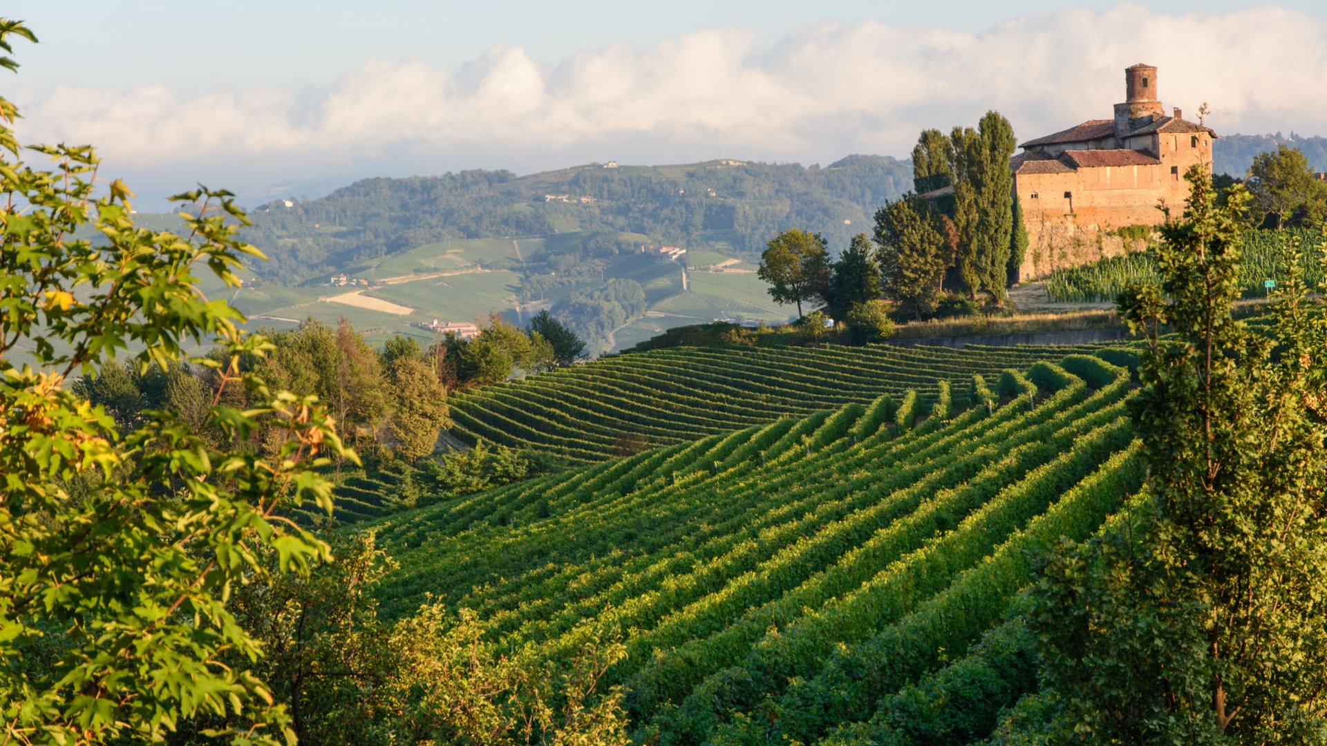 Piedmont Tours for Operators: Nature, Culture & Cuisine