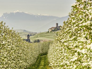 Trentino - Südtirol