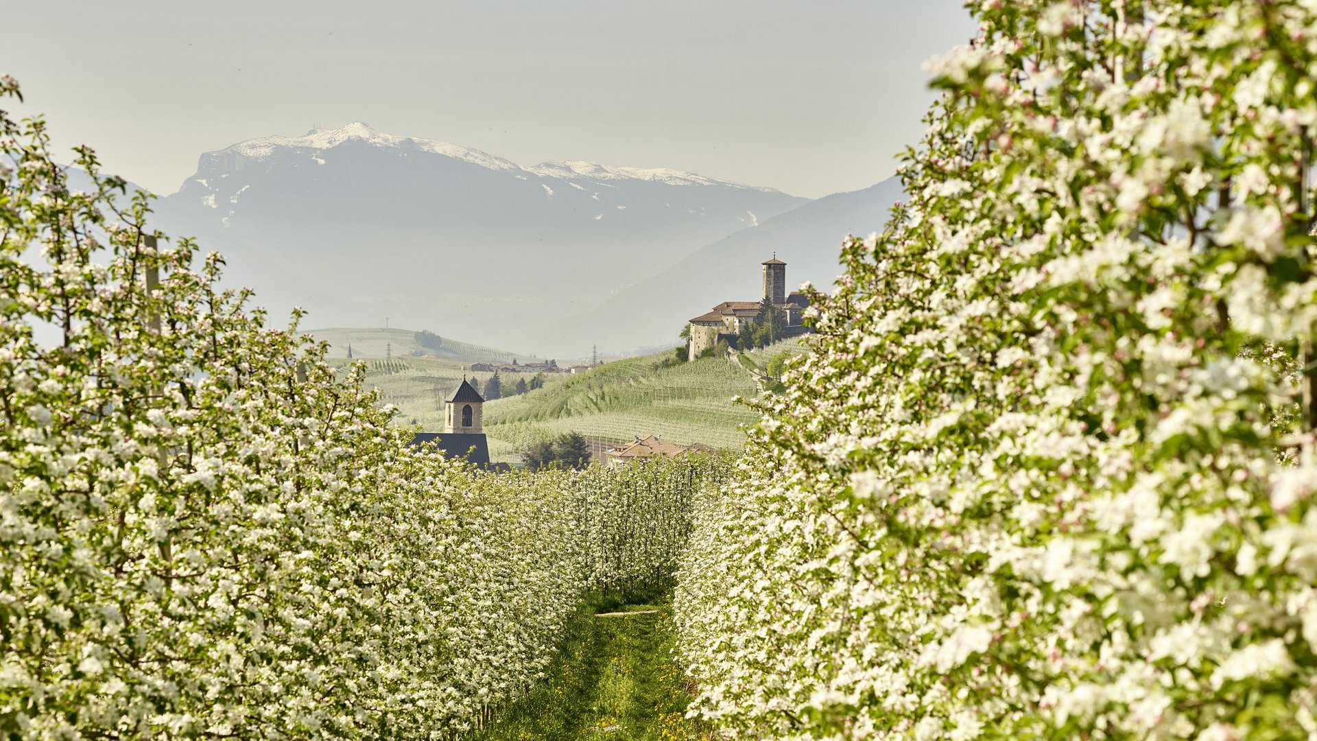 Trentino-Südtirol - Im Herzen der italienischen Alpen