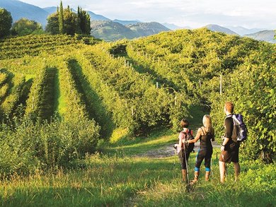 Veneto Friuli Tours - Explore Venice, Prosecco Hills & More