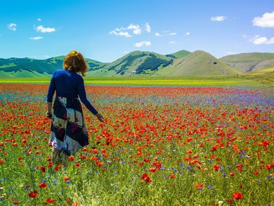 Treasures of Italy’s heart