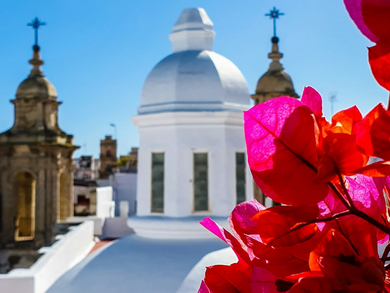 Cultural Tours to Italy & the Mediterranean Cultural Tours to Italy & the Mediterranean
