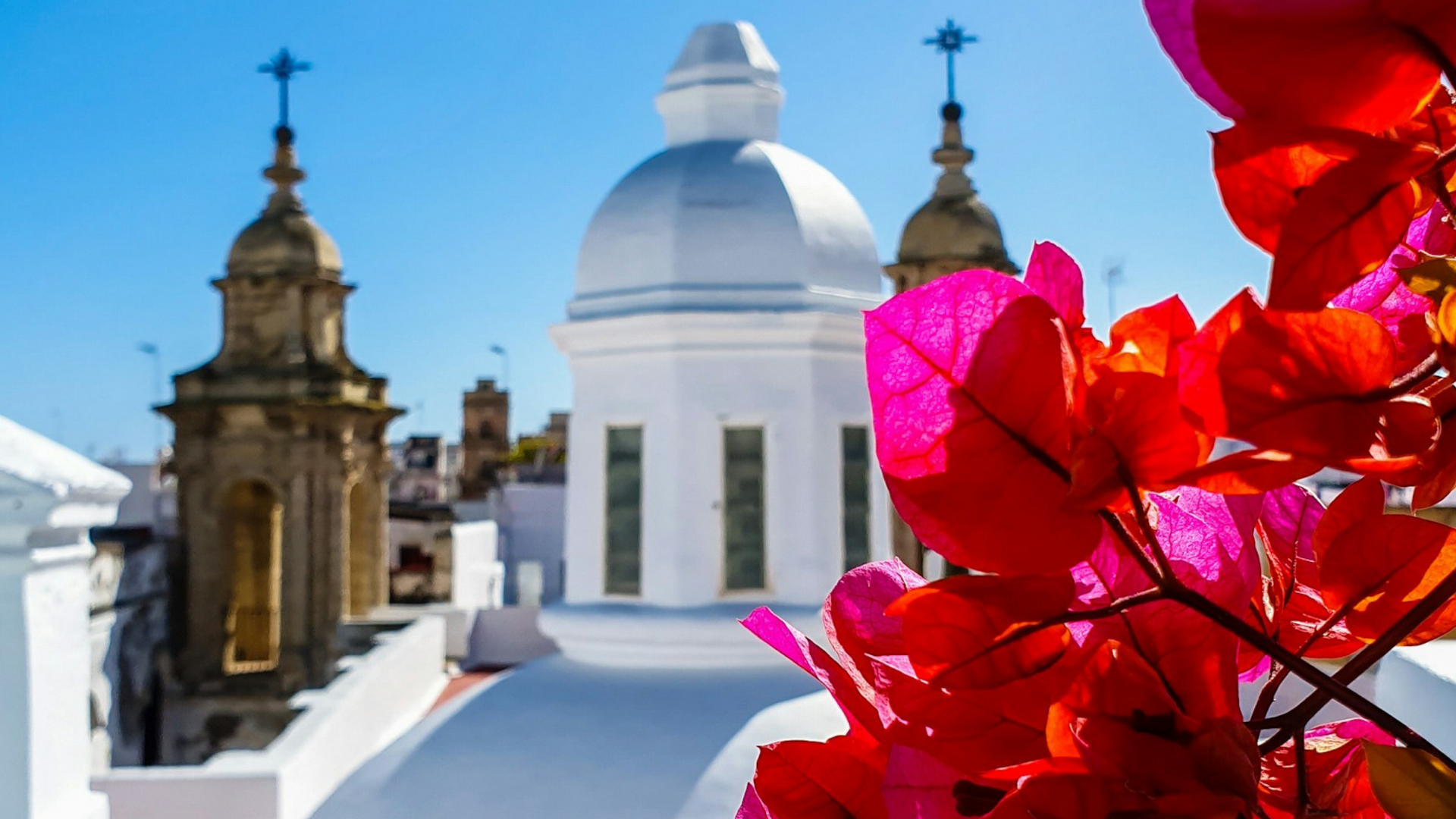 Michelangelo International Travel | Leading DMC for Italy & the Mediterranean Michelangelo International Travel | Leading DMC for Italy & the Mediterranean