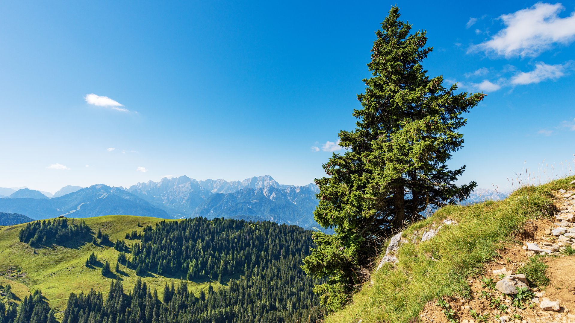 Wanderreise - Die Bergwelt der Friauler Alpen