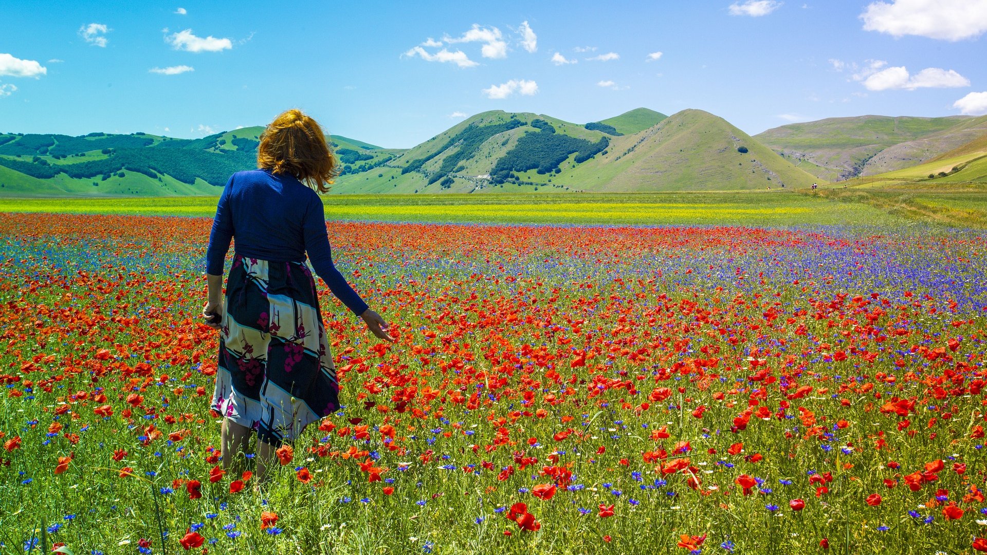 Umbria - Umbria in fiore