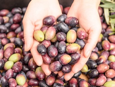 Sonderaktion November | Toskana - 4* Hotel Villa delle Rose Sonderaktion November | Toskana - 4* Hotel Villa delle Rose