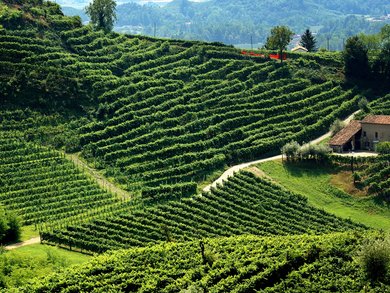 Top Angebote Top Angebote