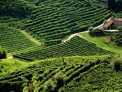 Top Angebote Top Angebote