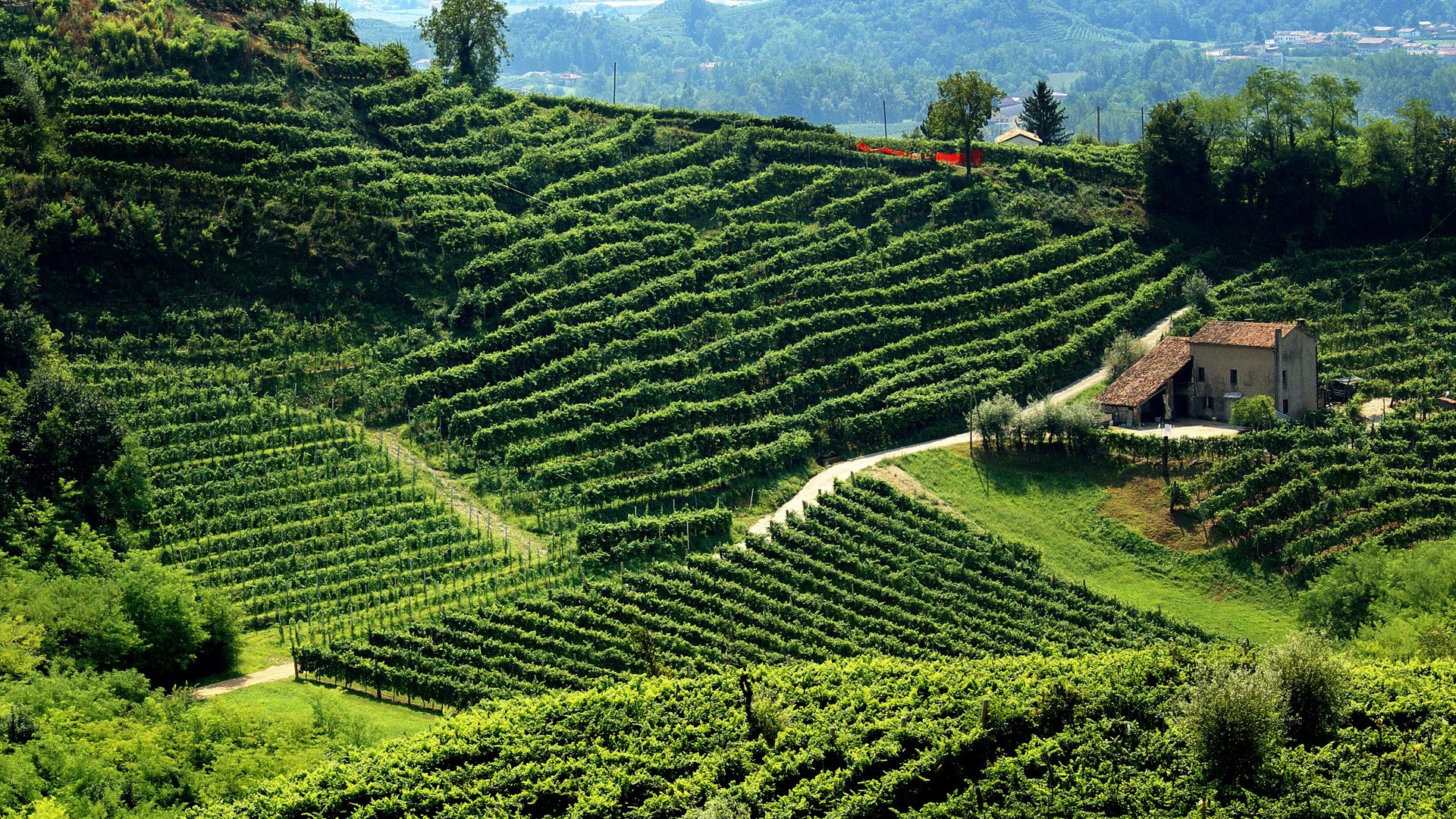 Michelangelo International Travel Michelangelo International Travel