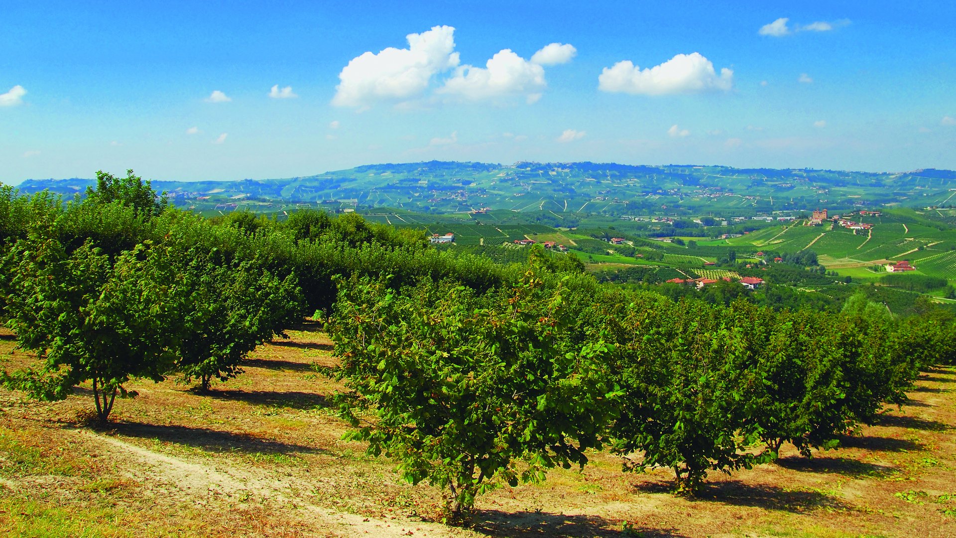 Piemonte e Valle d'Aosta - Terre del Monferrato