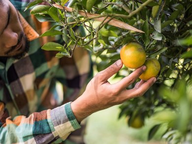 Group Tours Italy & the Mediterranean in January | michelangelo.travel Group Tours Italy & the Mediterranean in January | michelangelo.travel