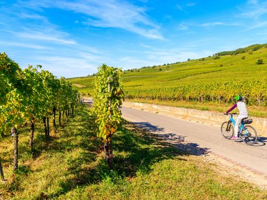 Eröffnung & Abschluss | Venetien - 4* Bonotto Hotel Palladio